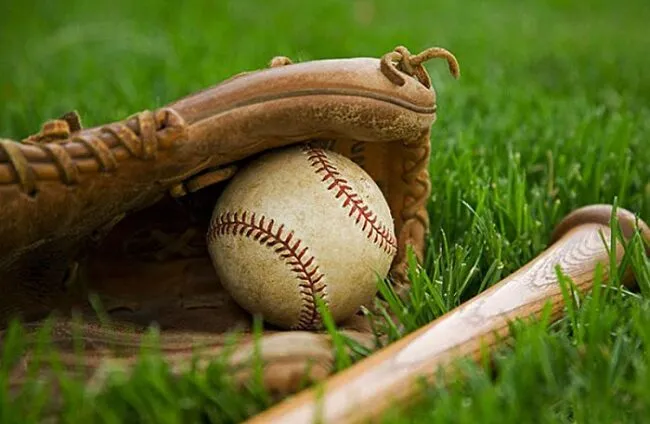 Bóng Chày Saowin Môn Thể Thao Hấp Dẫn Game Thủ 2024 2 Tìm hiểu các loại kèo phổ biến trong bóng chày Saowin