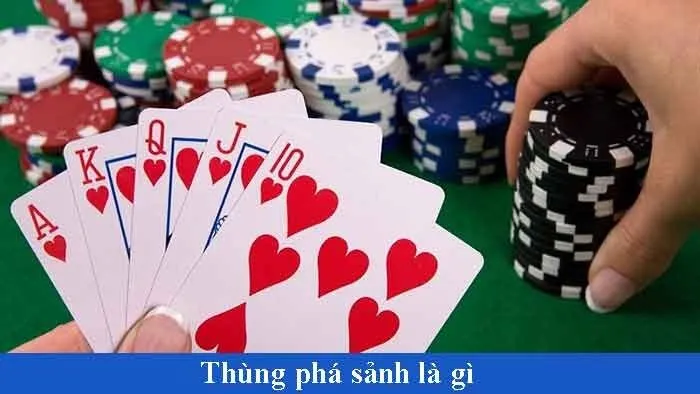Thùng Phá Sảnh Là Gì? Tìm Hiểu Ngay Tại Saowin 2024 4 Cách xì tố có thùng phá sảnh giành chiến thắng